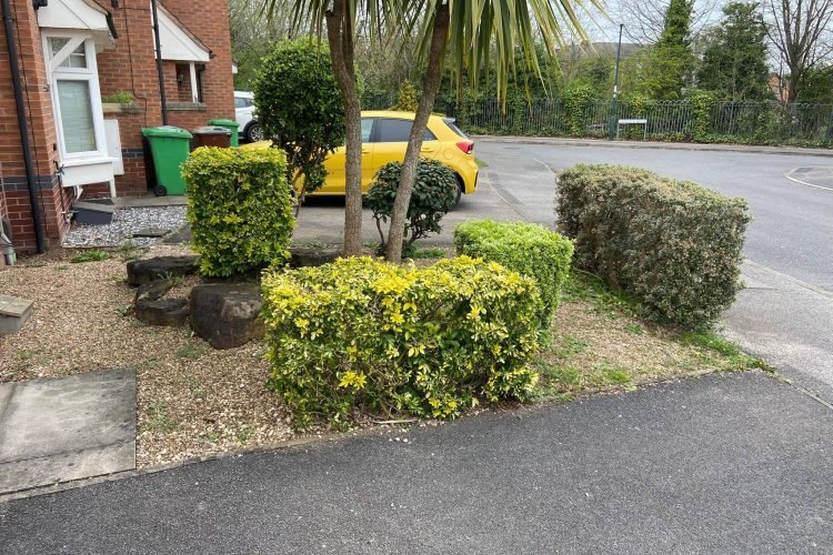 660457299_122158125482954059_6321450334428552870_n