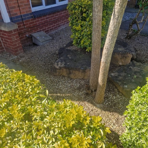 667386277_122158125728954059_1961374151989850629_n